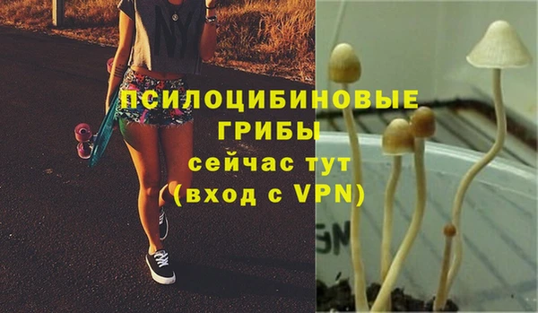 мяу мяу мука Слюдянка