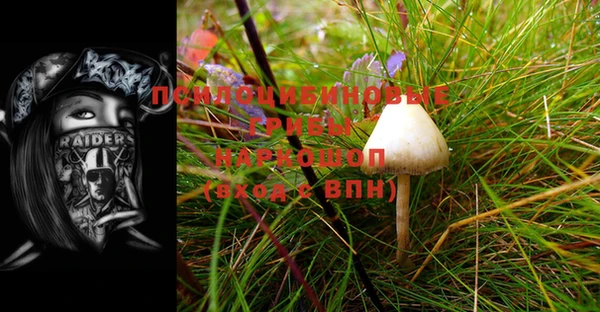 мяу мяу мука Слюдянка