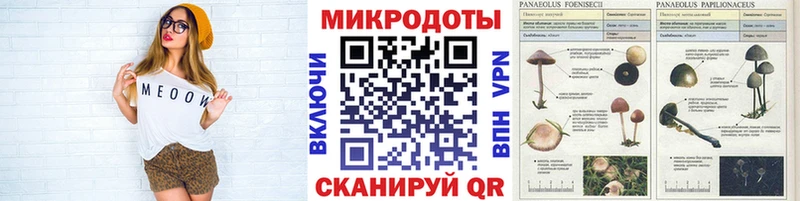 Псилоцибиновые грибы прущие грибы  где найти наркотики  Киселёвск 